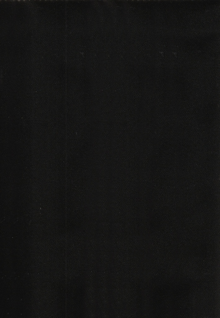 Panamera Negro